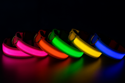Safety LED Collar