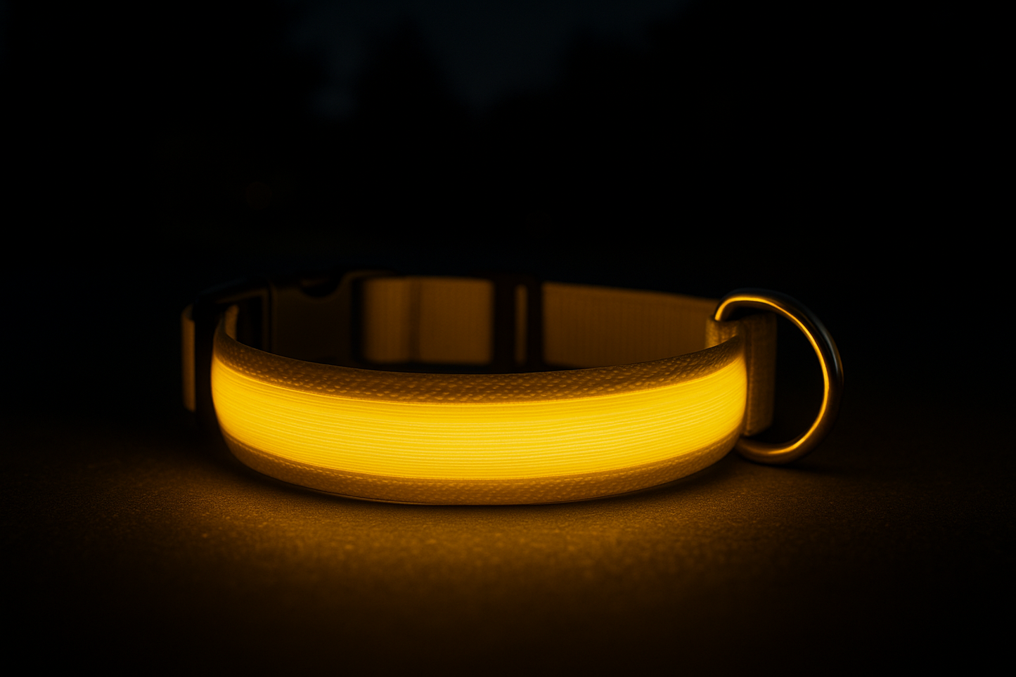 Safety LED Collar