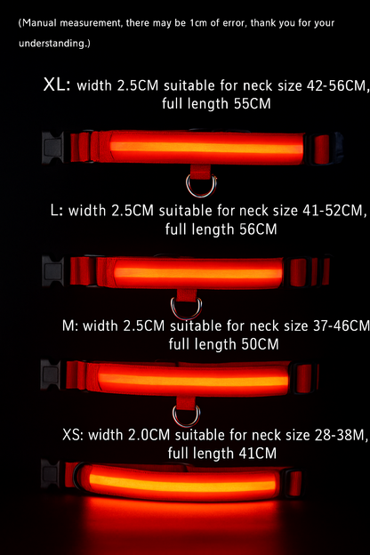 Safety LED Collar