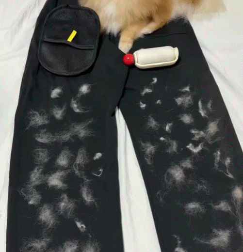 Electrostatic Pet Hair Removal Grooming Gloves