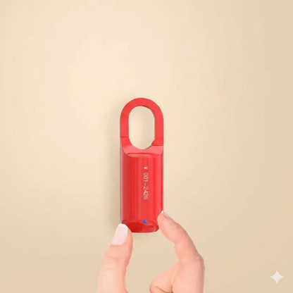 Smart Fingerprint Lock