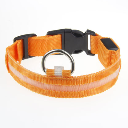 Safety LED Collar