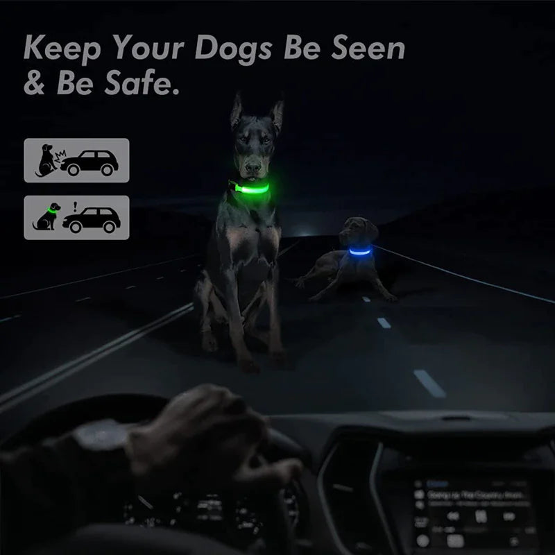 Safety LED Collar
