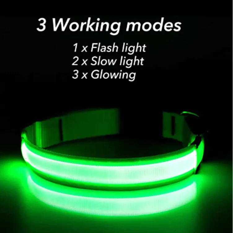 Safety LED Collar